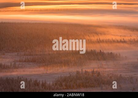 Landschaft im Gegenlicht, Schwedisch-Lappland, Skandinavien Stock Photo