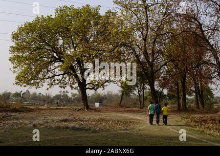 Indian village boys going for playing cricket on summer days. Stock Photo