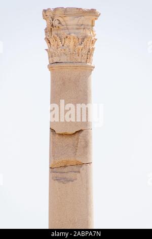 Top of a column of Carthage. History was that Carthage was capital city of the ancient Carthaginian civilization. Later it was destroyed by the Roman Stock Photo