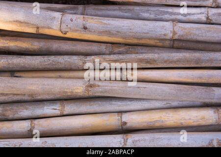 Background of cut and dried rods aligned horizontally Stock Photo