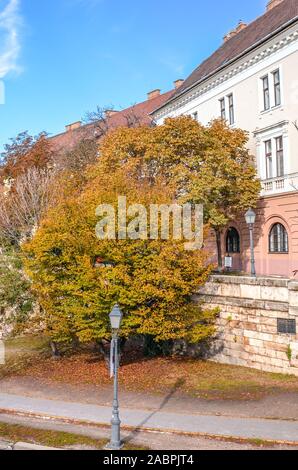 Budapest, Hungary - Nov 6, 2019: Beautiful street in the historical old town of Hungarian capital city photographed with fall trees. Historical buildings, sidewalk, no people. Eastern European town. Stock Photo