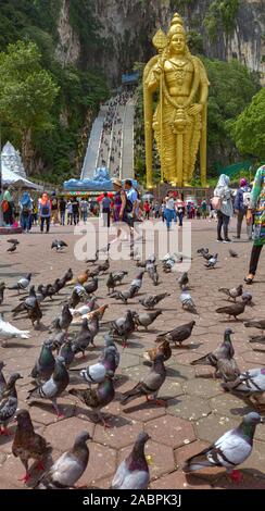 Kuala Lumpur, Malaysia. May 01, 2018: Flock of pigeons in front of The Lord Murugan the largest statue of a Hindu Deity in Malaysia at the entrance to Stock Photo