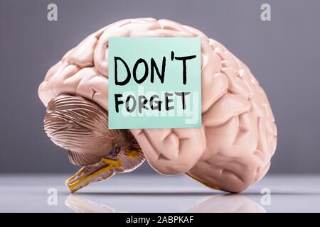 Adhesive Note With Don't Forget Text Stuck On Brain Model Over Reflective Desk Stock Photo