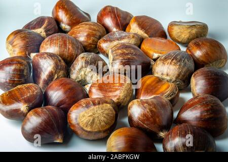 Chestnut, close-up photo with the details Stock Photo