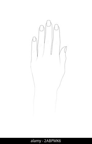 Hand With Nails Vector Art, Icons, and Graphics for Free Download