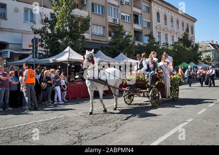 Vrsac, Serbia, September 22, 2019. The chariot is bringing guests and beautiful girls of the grape harvest to celebrate. The event is traditionally do Stock Photo