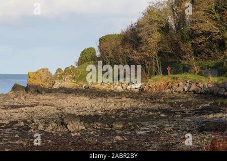 Sunny autumn day with a walker in a red jacket on the coastal path at Belfast Lough on the County Down side between Cultra and Helen's Bay. Stock Photo