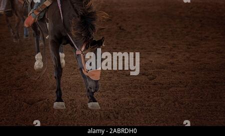 Close up of a bucking horse being ridden by a cowboy at a country rodeo Stock Photo