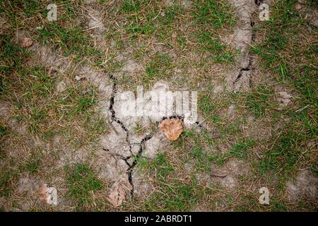 old dried cracked earth with dead grass Stock Photo