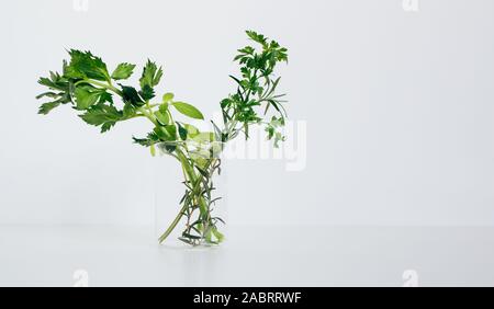 Alternative herb medicine, scientific research concept Stock Photo