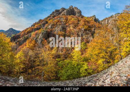 Landscape in Frakto forest in Rodopi mountain range national park in Greece Stock Photo