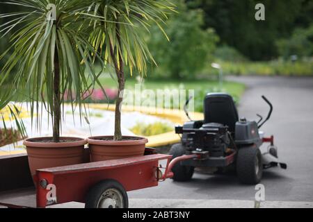 Electric car with a trailer with decorative palms in large pots Stock Photo
