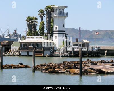 Sea lion colony at Pier 39 of Fisherman's Wharf, San Francisco, California, USA Stock Photo