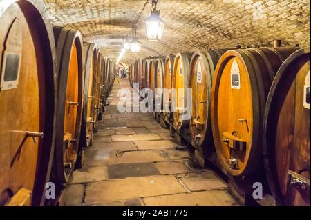 Barrels in the mediaeval wine cellar, 1395,  Hôpital Civil, Strasbourg, Alsace, Grand Est, France Stock Photo