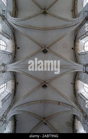 Fleury Abbey is one of the most celebrated Benedictine monasteries. The nave. Vaults.  Saint Benoit sur Loire.  France. Stock Photo