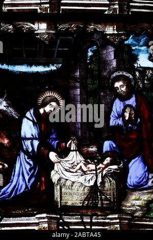 St Peter church.  The nativity of Jesus in Bethlehem. Stained glass window.  Dreux. France. Stock Photo