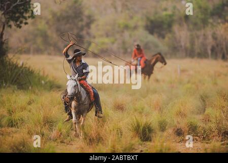 Pantaneiro cowboy working on a cattle ranch in South Pantanal Stock Photo