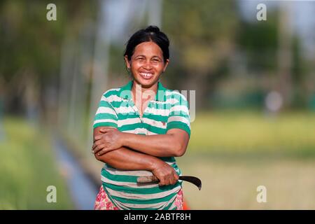 Asian farmer in rice field.  Kep. Cambodia. Stock Photo