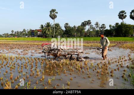 Asian farmer plowing rice field with a tractor.  Kep. Cambodia. Stock Photo