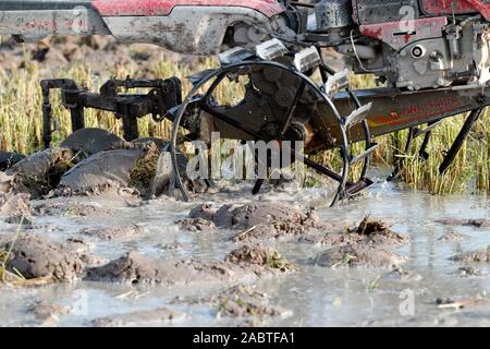 Asian farmer plowing rice field with a tractor.  Kep. Cambodia. Stock Photo
