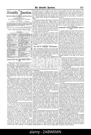 THE MUNN & COMPANY Editors and Proprietors. PUBLISHED WEEKLY AT NO. 87 PARK ROW (PARK BUILDING) NEW YORK. 0. D. MUNN S. IL WALES A. E. BEACH. Contents : ANT. TRANSVERSE FORCE OF EXPLOSIVE GASES IN GUNS., scientific american, 66-09-08 Stock Photo