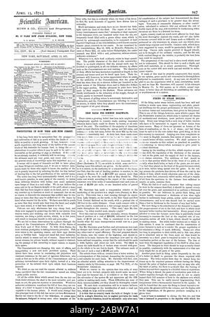 NO. 37 PARK ROW (PARK BUILDING) NEW YORK., scientific american, 1871-04-15 Stock Photo