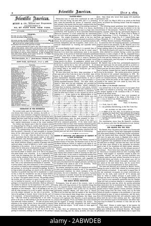 NO. 87 PARK ROW. NEW YORK TERMS. Club Rates: CREMATION IN THE HOUSEHOLD. TAINTED MEAT. RIGHTS OF EMPLOYER AND EMPLOYED IN RESPECT T A NEW INVENTION. THE FEELY MOTOR DECEPTION. THE SEARCH FOR THE POLE., scientific american, 1875-07-03 Stock Photo