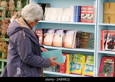 Hay Festival Winter Weekend, Hay on Wye, Powys, Wales, UK - Friday 29th November 2019 - A visitor browses the selection of new books at the Hay Festival Winter Weekend. Credit: Steven May/Alamy Live News Stock Photo