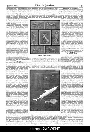 New Factory of the Edison Electric Lamp Company. Photography of Maps etc. Coal Jigging in the Schuylkill Region. PHOTO BASS-RELIEFS. BASS-RELIEFS BY PHOTOGRAPHY. A LUMINOUS SHARK. BY C. F. HOLDER. LUMINOUS SHARK, scientific american, 1882-07-22 Stock Photo