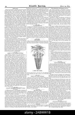 Clairvoyance. Decline of Cotton Milling in Scotland. Volumetric Estimation of Phosphoric Acid in Fertilizers. A German Insecticide. FERN BASKET. A NEW FERN BASKET. Tobacco Juice Vapor for Plants. The Planet Vulcan. Nobel's Dynamite and Explosives Factory. A Novel Inclined Railroad. 1  Preparation of Compressed Yeast., scientific american, 1883-07-14 Stock Photo