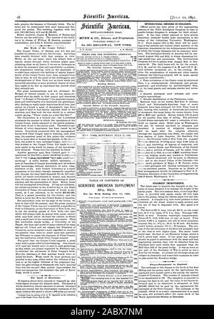 The Work of the Cooper Union. The Speed of Electricity. No. 361 BROADWAY NEW YORK. SCIENTIFIC AMERICAN SUPPLEMENT No. 810 For the Week Ending July  1891 INTERNATIONAL CONGRESS OF GEOLOGISTS. STEAMSHIP IMPROVEMENTS. Pleuro-Pneumonia in England., 1891-07-11 Stock Photo