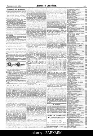 TO INVENTORS INDEX OF INVENTIONS For which Letters Patent of the United States were Granted AND EACH REARING THAT DATE., scientific american, 1893-12-30 Stock Photo