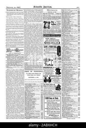 date shells in the rock Stock Photo - Alamy