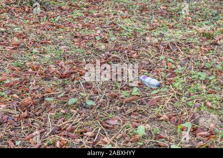Empty plastic soft drinks bottle / litter on patch of autumn leaves. Metaphor recycling, environmental pollution, plastic bottle litter, empty bottles Stock Photo