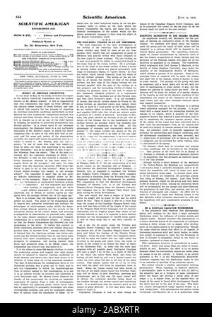 SCIENTIFIC AMERICAN ESTABLISHED 1845 MUNN & C - Editors and Proprietors Published Weekly at No. 361 Broa.dwa.y. New York MOSELY ON AMERICAN COMPETITION. THE HIGH-SPEED TURBINE AS AN AIR COMPRESSOR. A NEW NIAGARA POWER CANAL. SCIENTIFIC EXPEDITION TO THE BAHAMA ISLANDS. ON A SINGULAR RADIATION PHENOMENON., 1903-06-13 Stock Photo