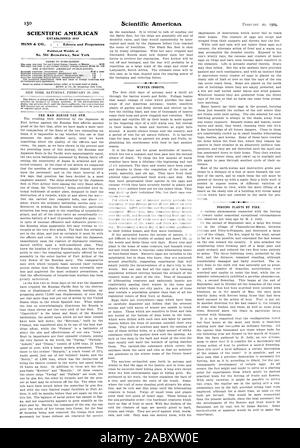 SCIENTIFIC AMERICAN MUNN 6. CO. - Editors and Proprietors No. 361 Broa.dwa.y New York WINTER INSECTS., 1904-02-20 Stock Photo