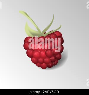 Raspberry, great design for any purposes. Vegan food diet icon. Raspberry vector icon illustration. Isolated object Stock Vector