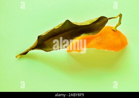 Part of orange tangerine peel with green leaf on colored background , studio shot Stock Photo