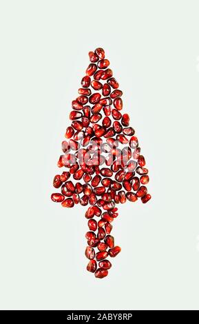 Beautiful christmas tree made with red pomegranate seeds on white background Stock Photo