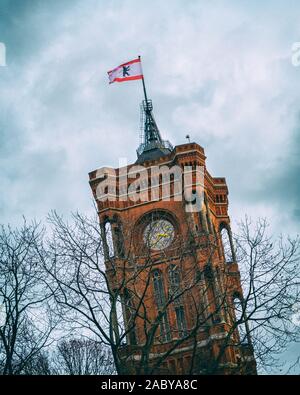 Old Town Hall With German Flag Bremen Germany Europe Stock