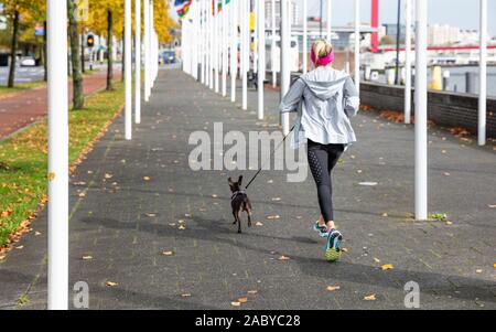 Jogging in the city center. Rotterdam Netherlands. Rear view of a strong man running alone on a red asphalt bike lane. Healthy lifestyle Stock Photo