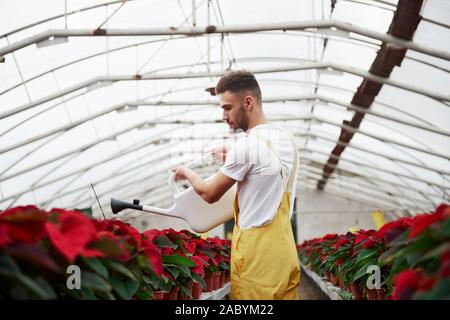 Photo from the left, watering plants. Portrait of beautiful young guy in the hothouse taking care of flowers Stock Photo