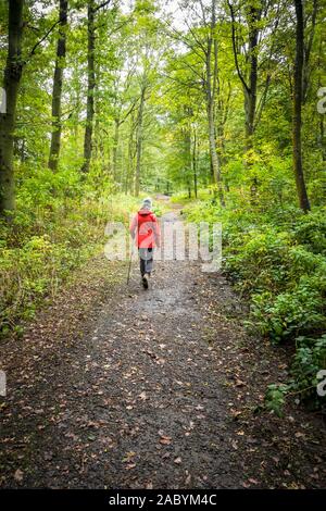 Woman walking away from the camera, along a path through woodland, in  England, UK Stock Photo
