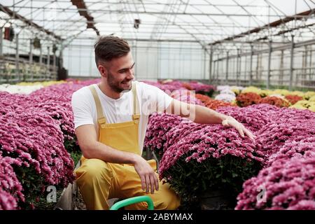 Touching the petals. Photo of beautiful young guy in the greenhouse taking care of pink colored flowers Stock Photo