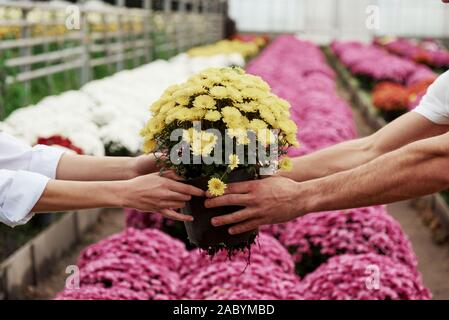 Focused photo of vase with flowers holding by two hands with other plants in background Stock Photo