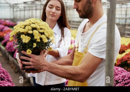 Handsome couple holding the vase with flowers in the greenhouse Stock Photo