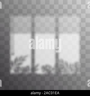 Shadow overlay effect of round window frame and monstera leaf. Transparent soft light and shadows from plant branches, leaves and foliage. Mockup of Stock Vector