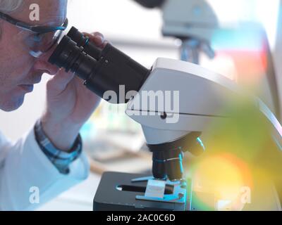 Scientist viewing a human sample on a slide under a microscope. Stock Photo