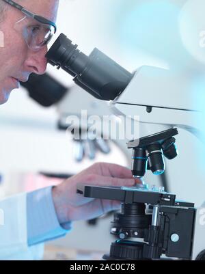 Scientist viewing a human sample on a slide under a microscope. Stock Photo