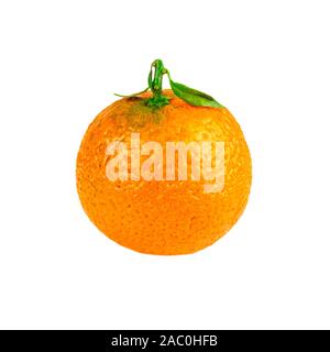 tangerine mandarin orange single fruit isolated on white Stock Photo